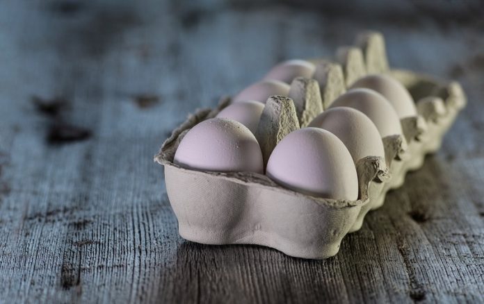 proteinhaltige Lebensmittel Eier